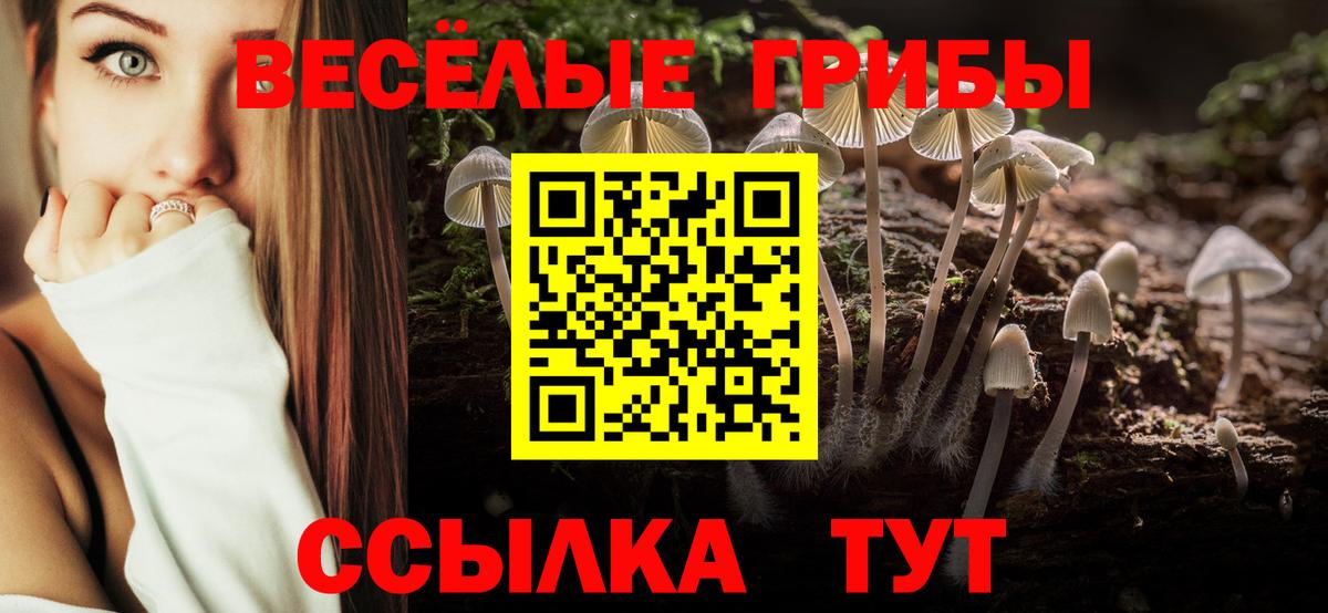 Галлюциногенные грибы мицелий  Галлюциногенные грибы Magic Shrooms  Борзя  Вход с VPN 